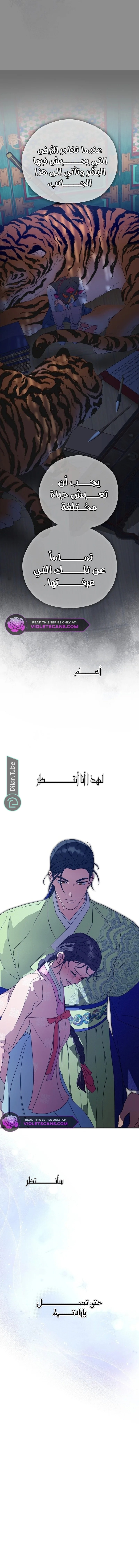 الصفحة 2