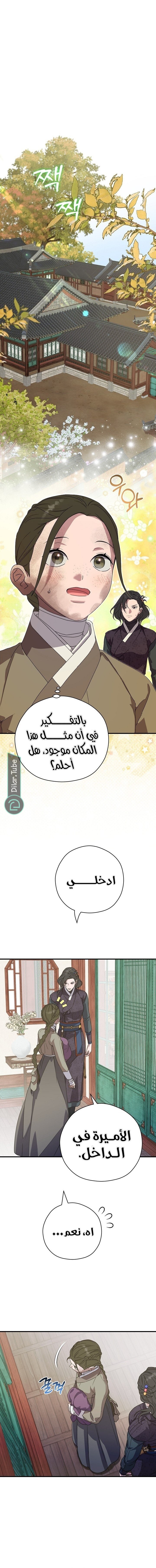 الصفحة 3