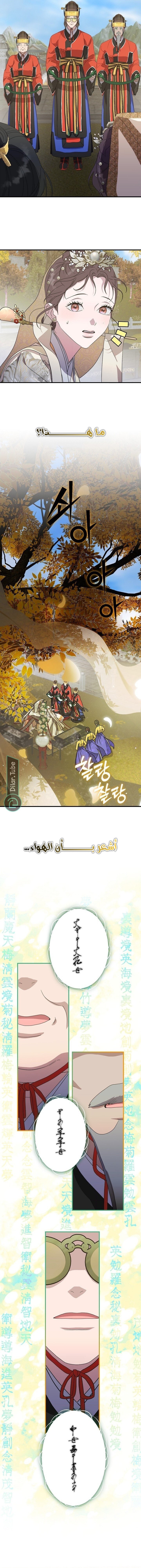 الصفحة 15