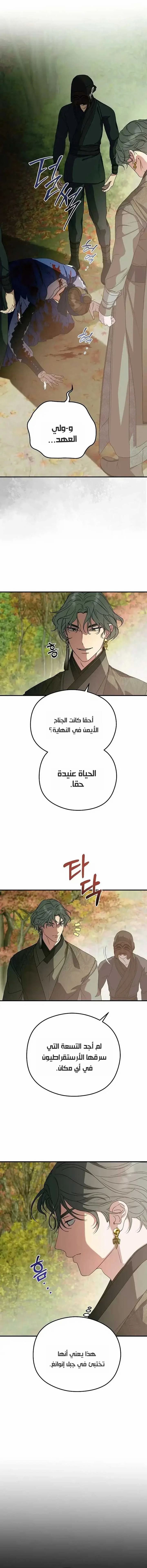 الصفحة 16