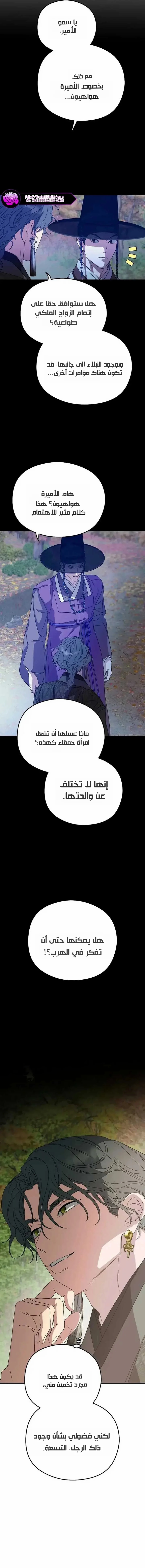 الصفحة 17