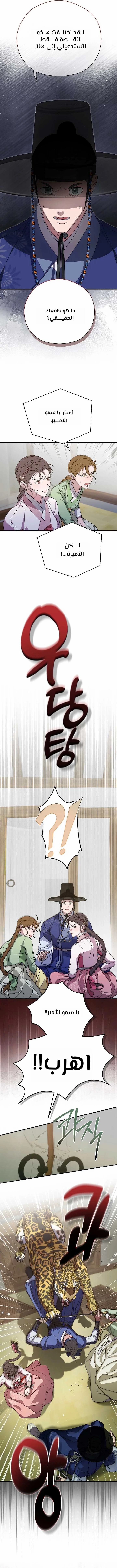 الصفحة 20