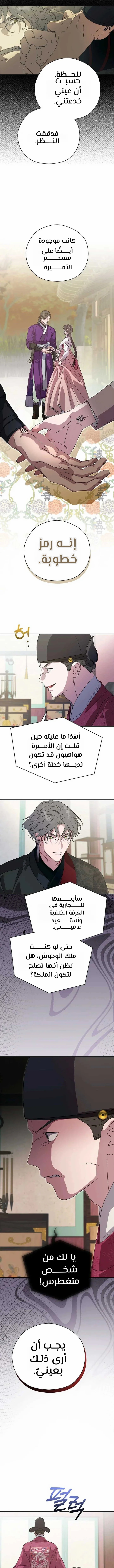 الصفحة 13