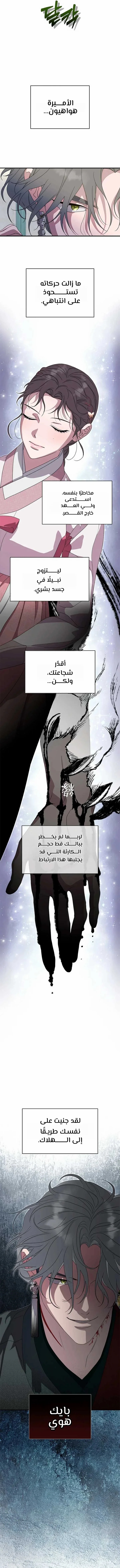 الصفحة 15