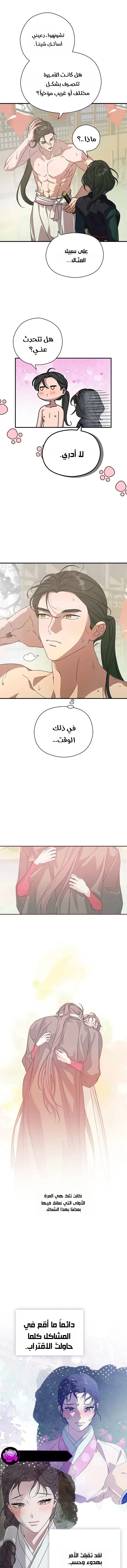 الصفحة 17
