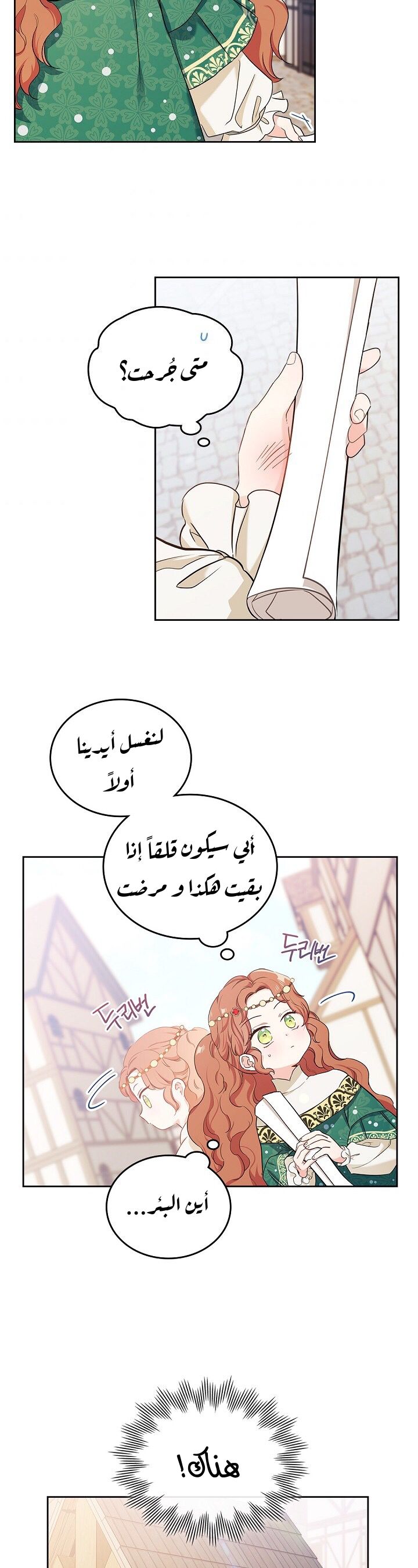 الصفحة 17