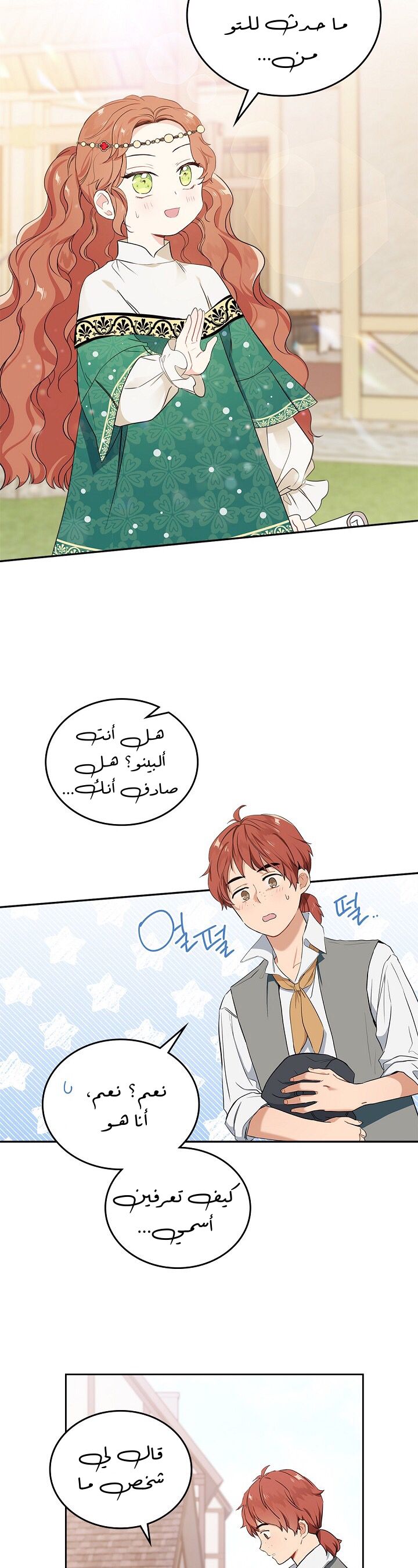 الصفحة 28