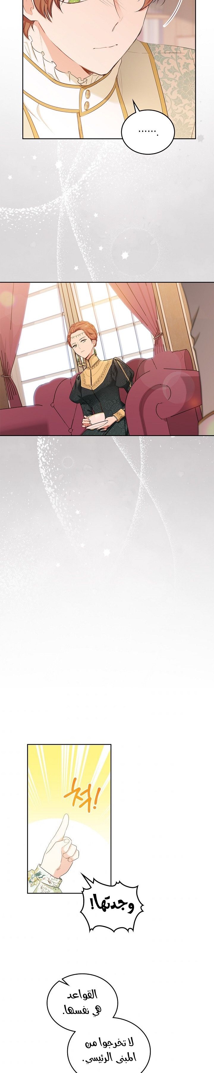الصفحة 17