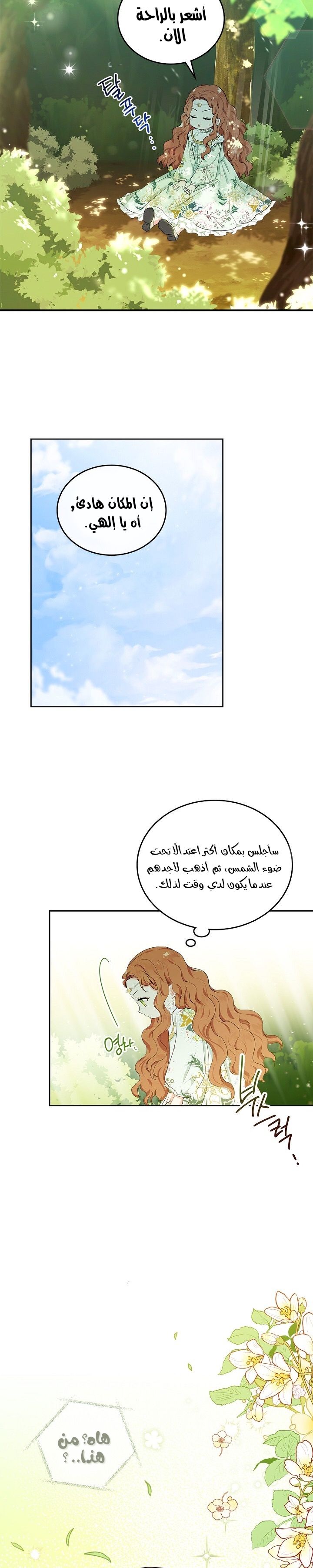 الصفحة 19