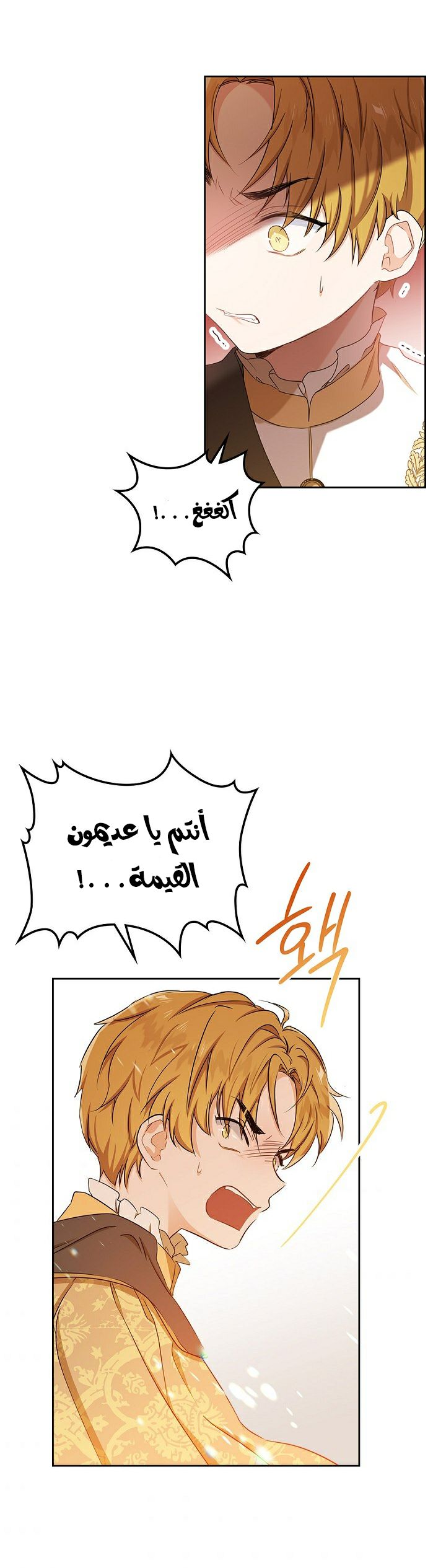 الصفحة 29