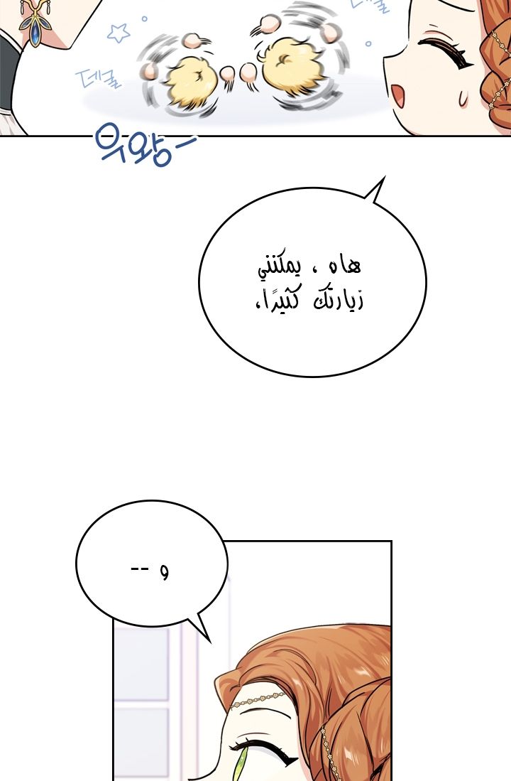 الصفحة 27