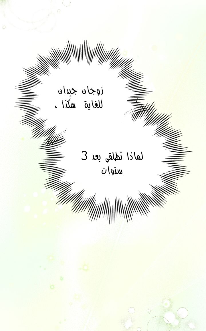 الصفحة 49