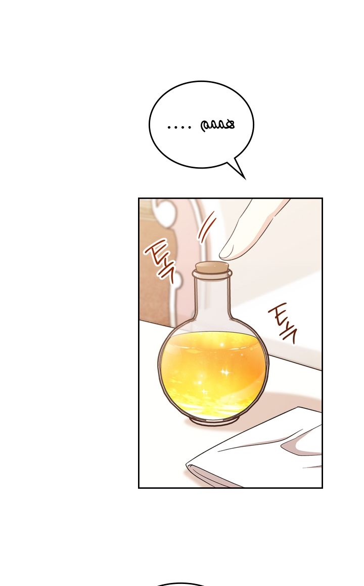 الصفحة 51