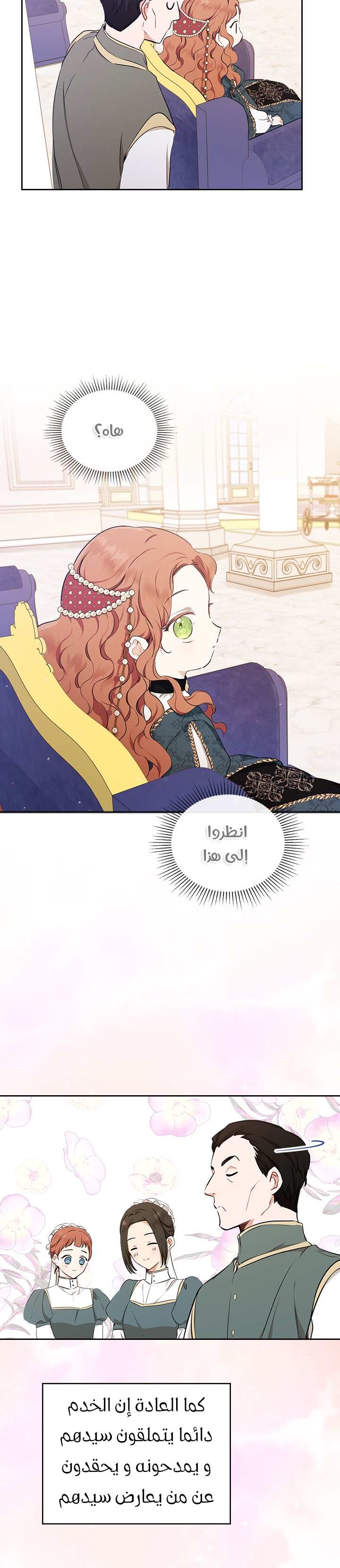الصفحة 17