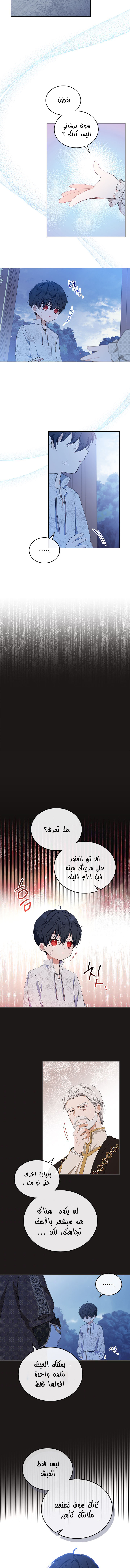 الصفحة 8