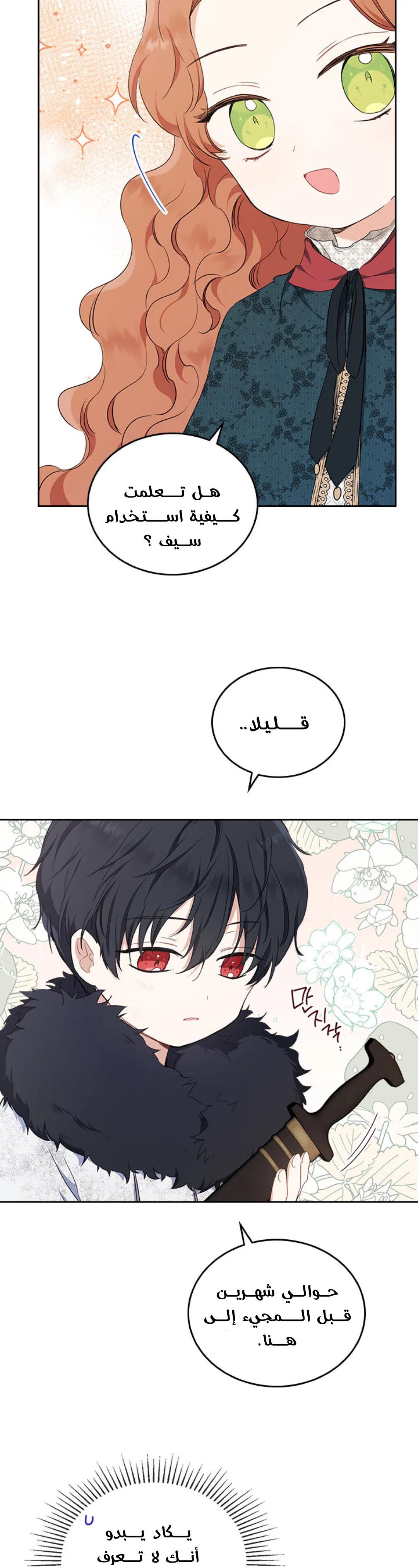 الصفحة 13