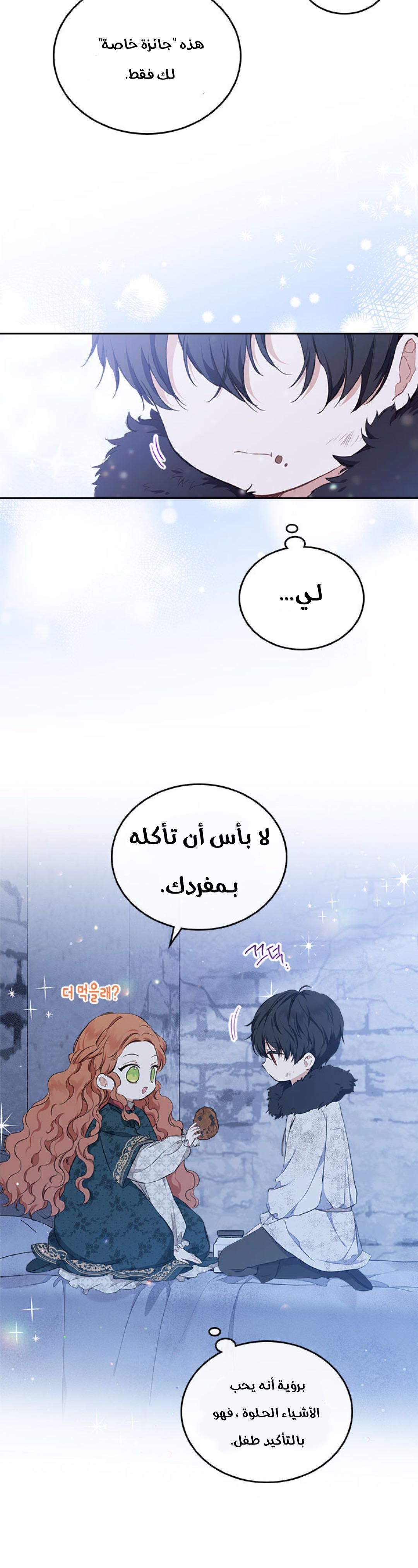 الصفحة 29
