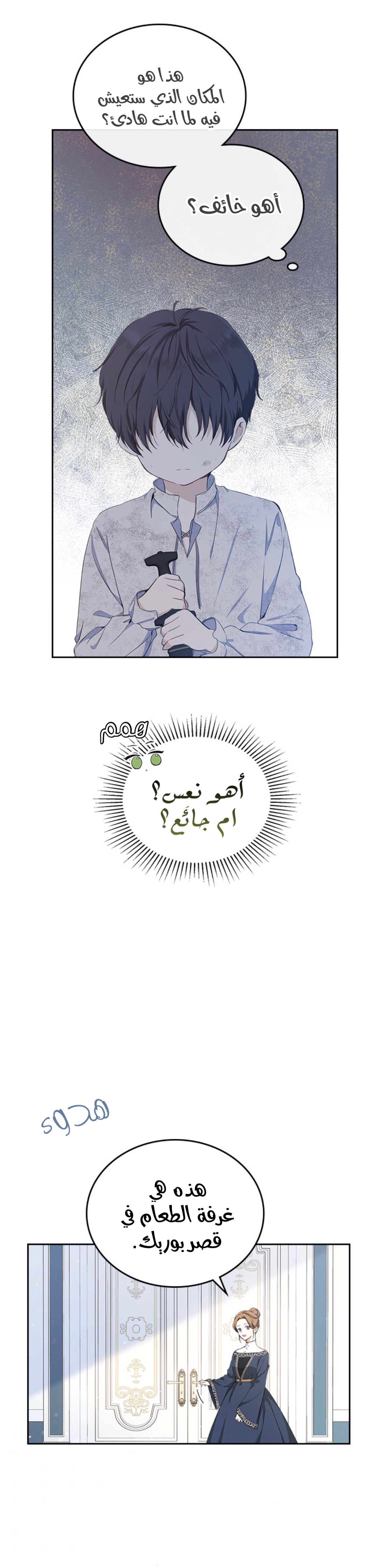 الصفحة 13