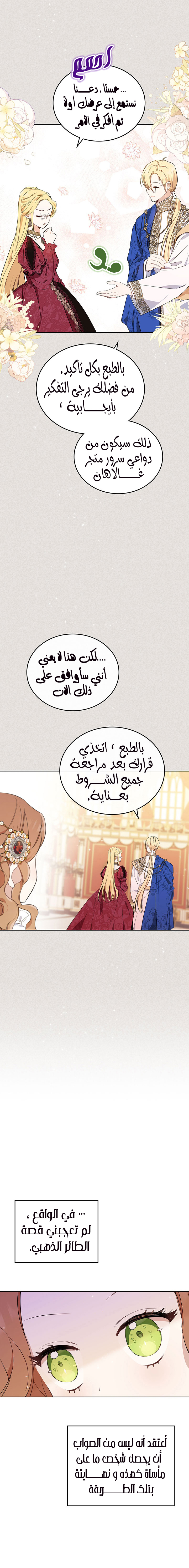 الصفحة 11
