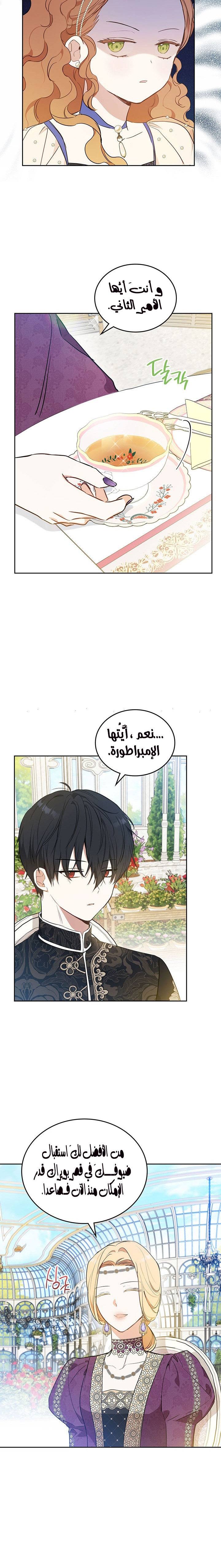 الصفحة 17