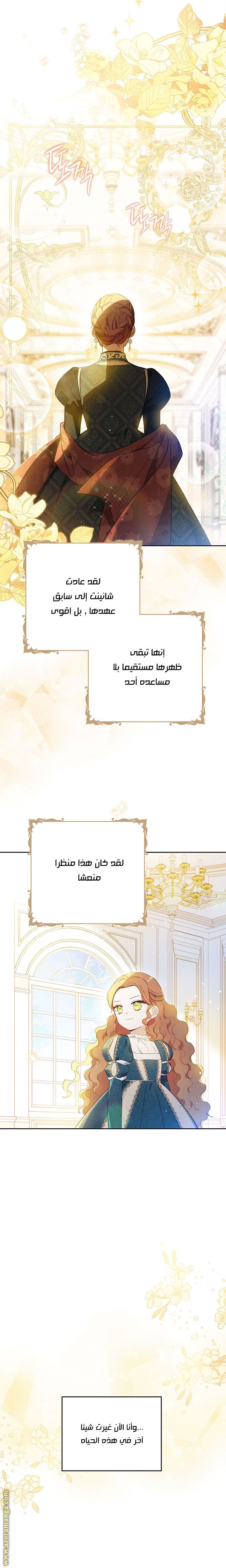 الصفحة 17