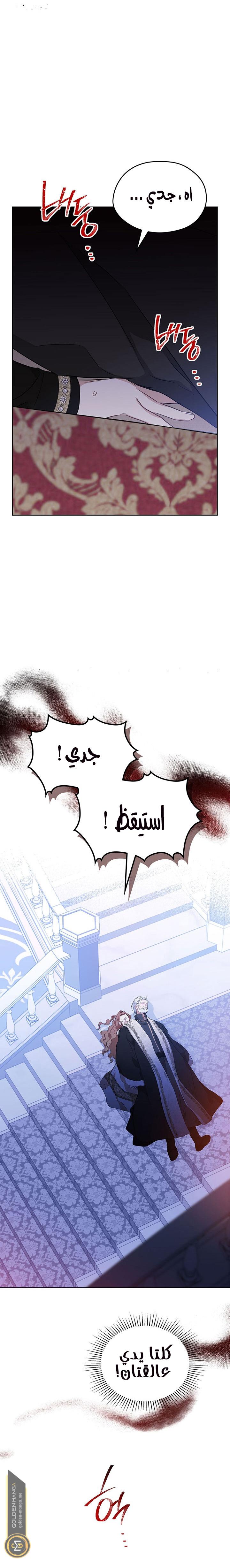 الصفحة 24