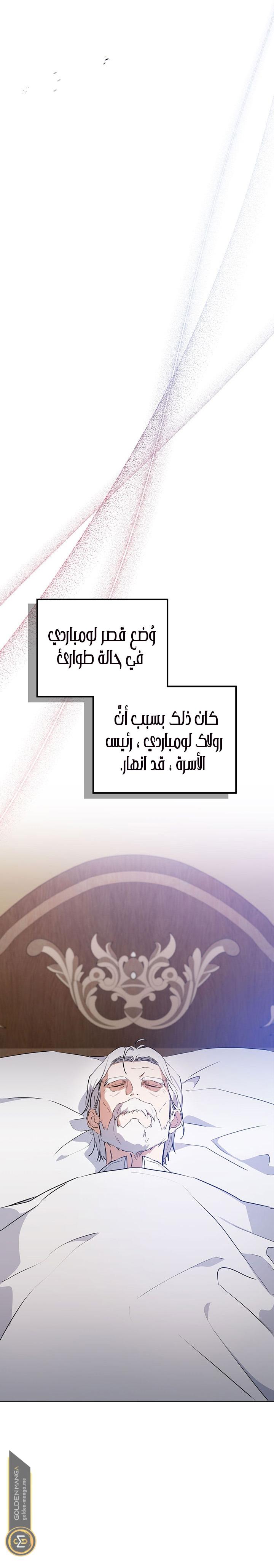 الصفحة 26