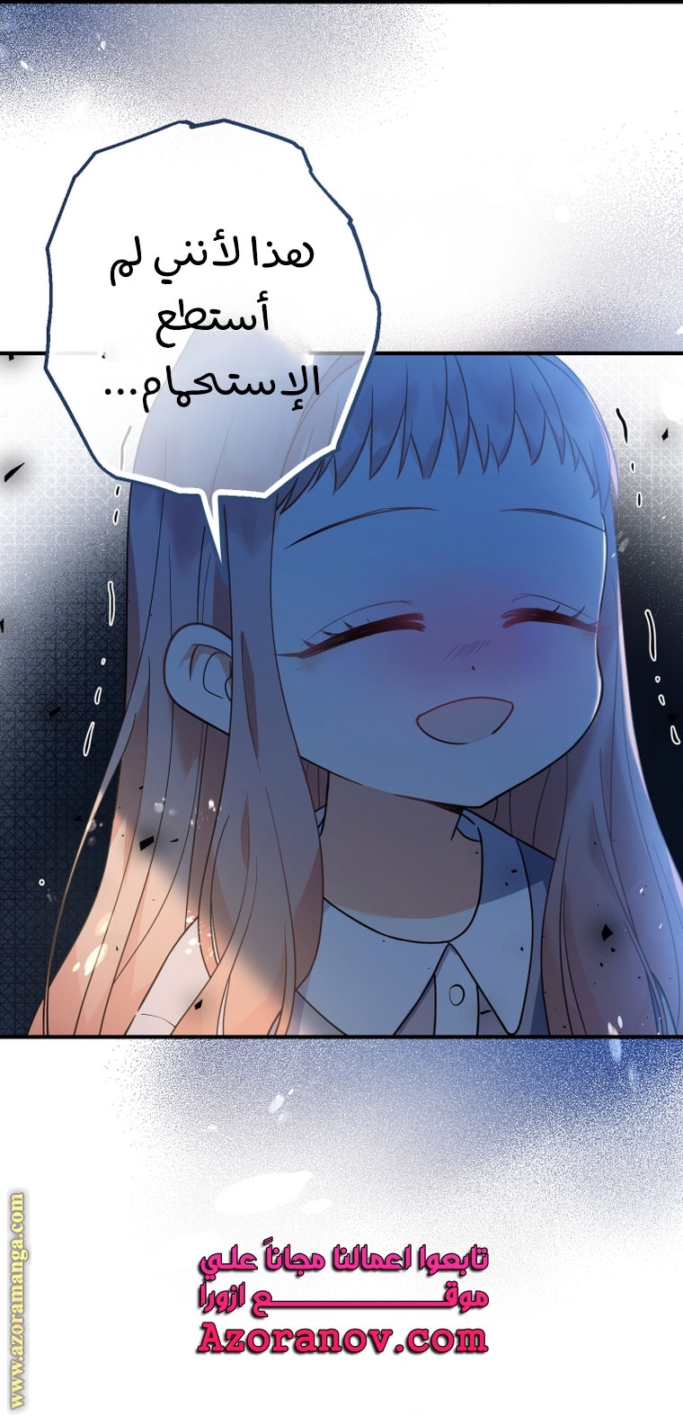 الصفحة 13