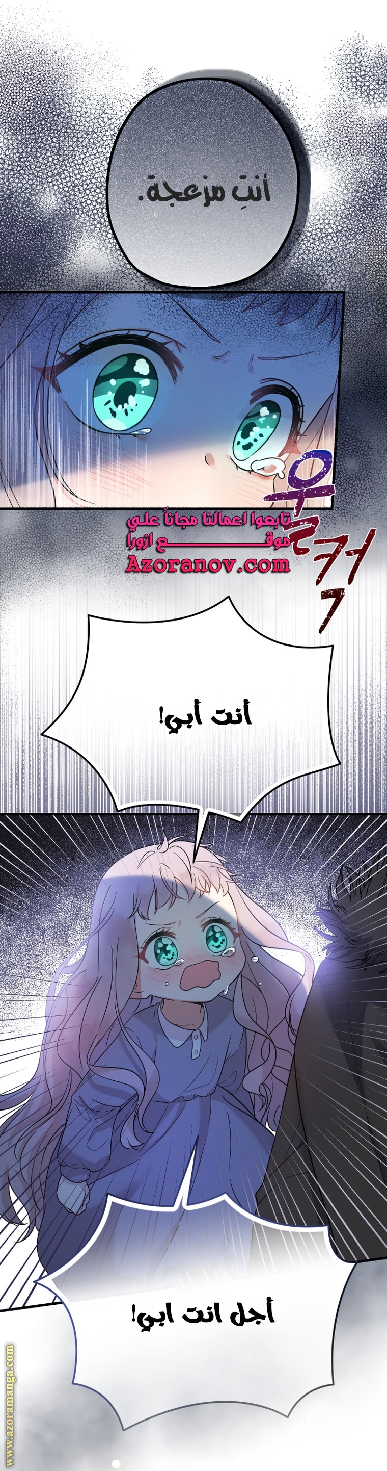 الصفحة 17