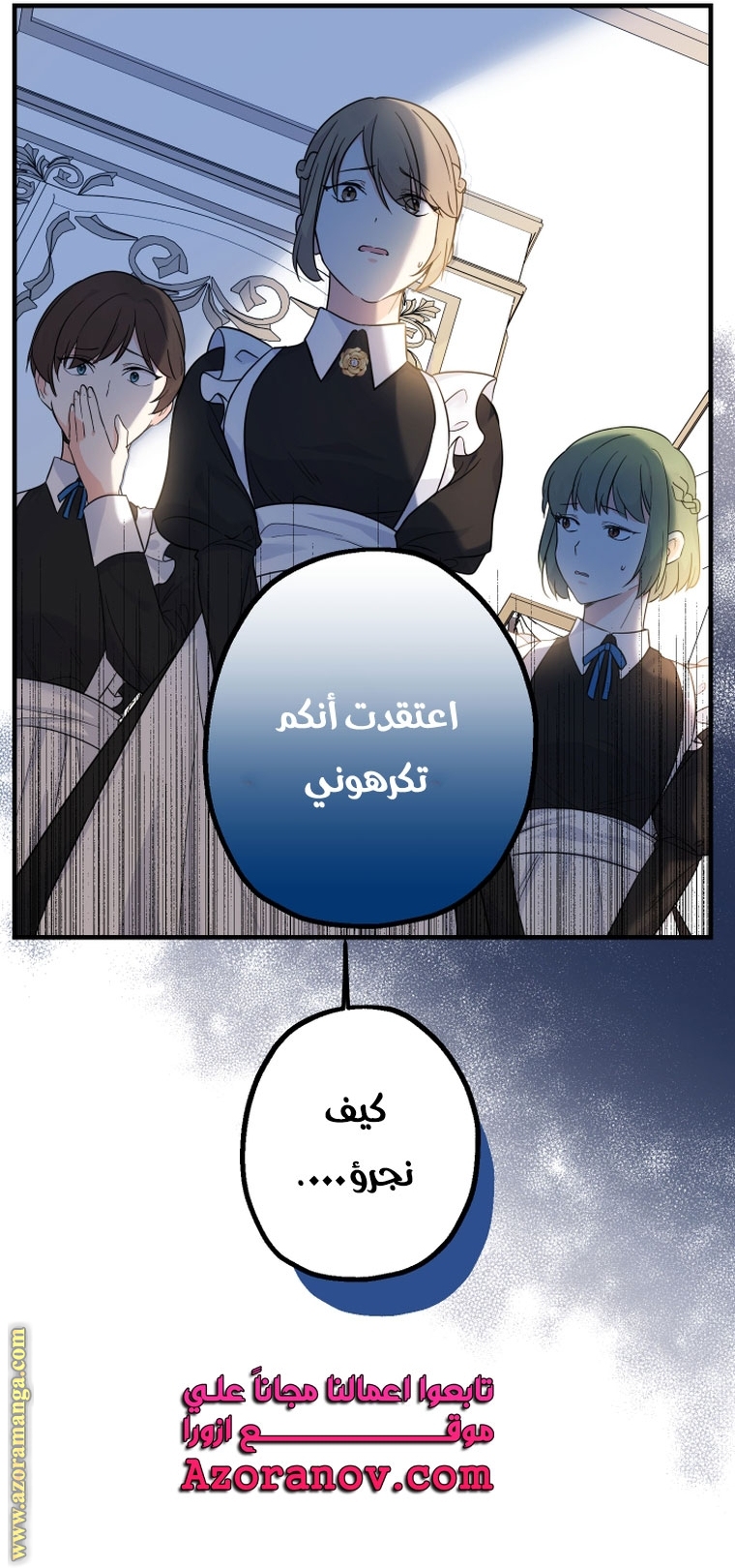 الصفحة 17