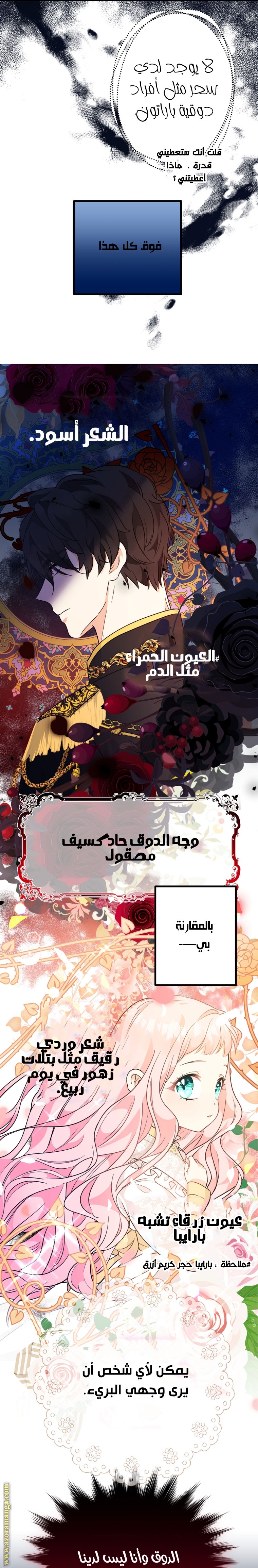 الصفحة 24