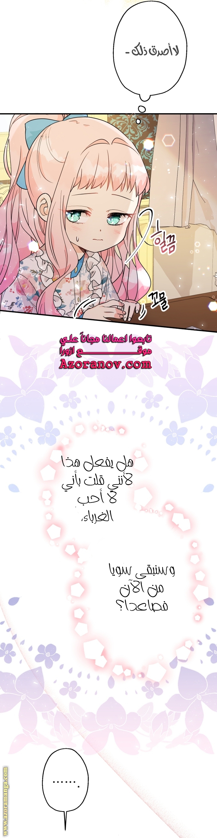 الصفحة 17