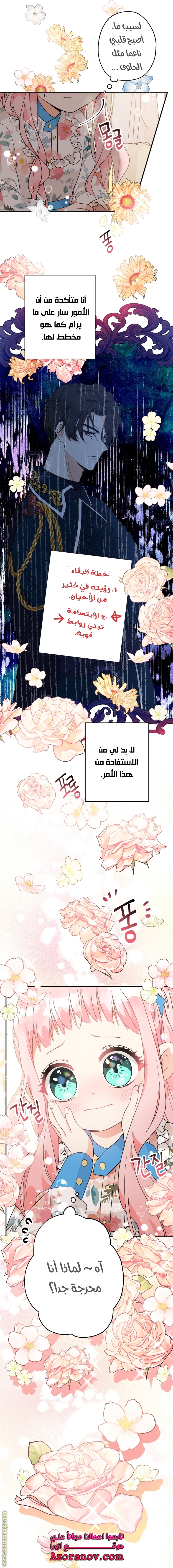 الصفحة 19