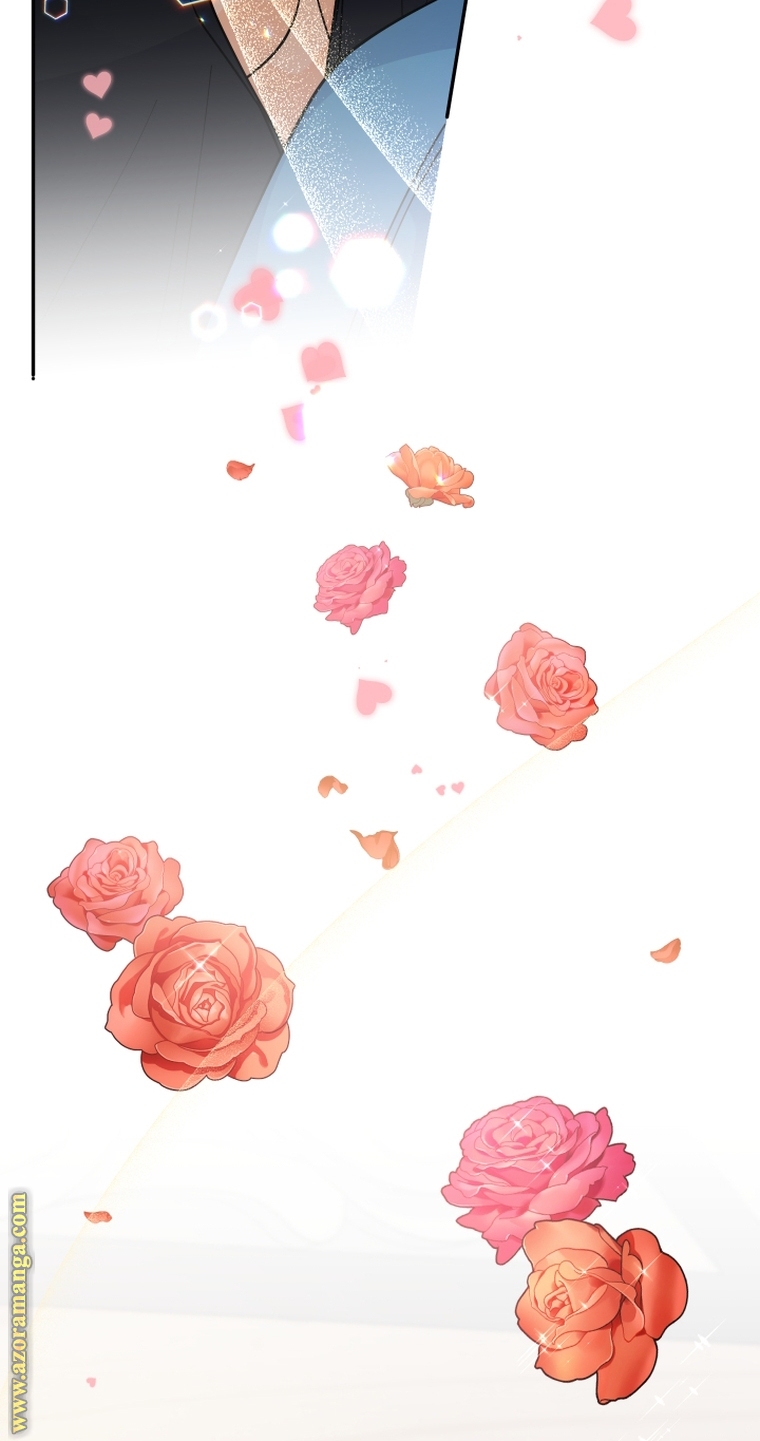 الصفحة 26