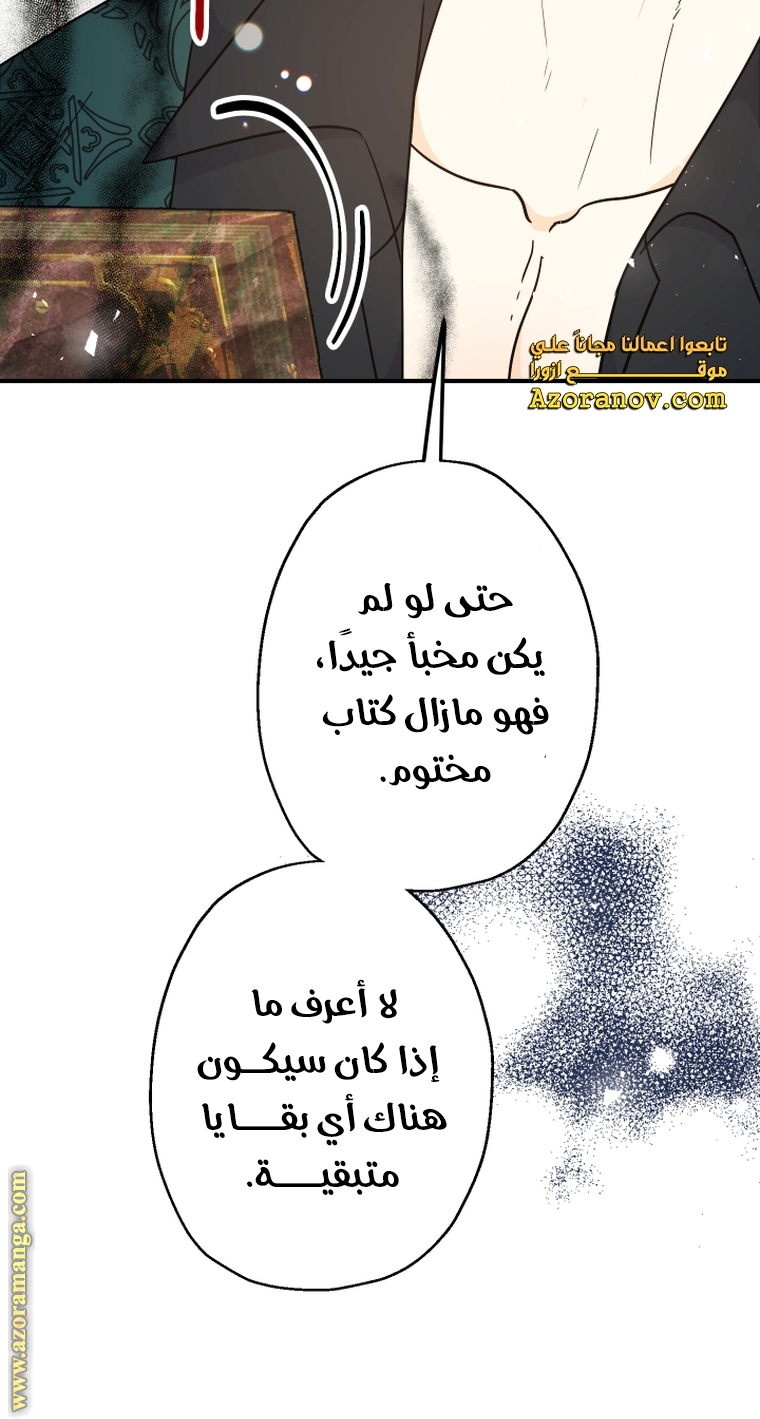 الصفحة 45