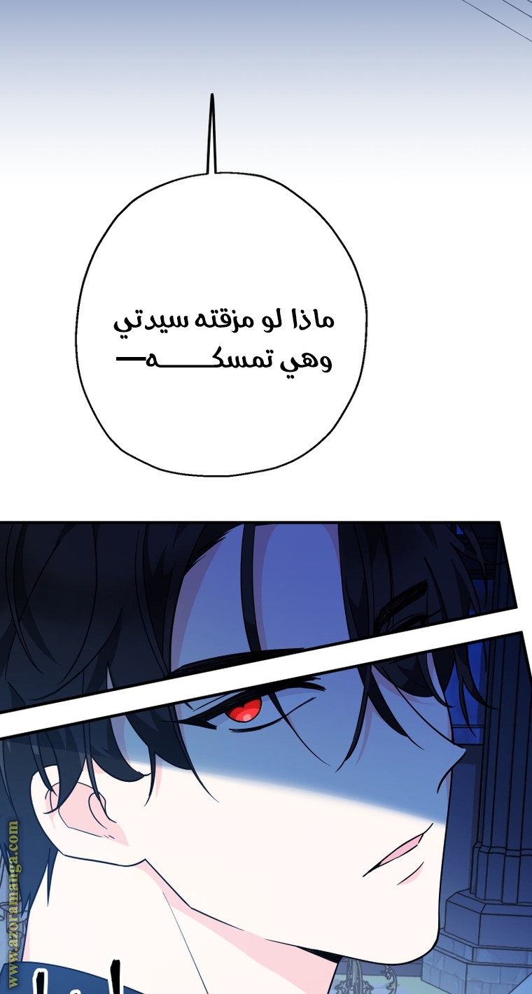 الصفحة 49