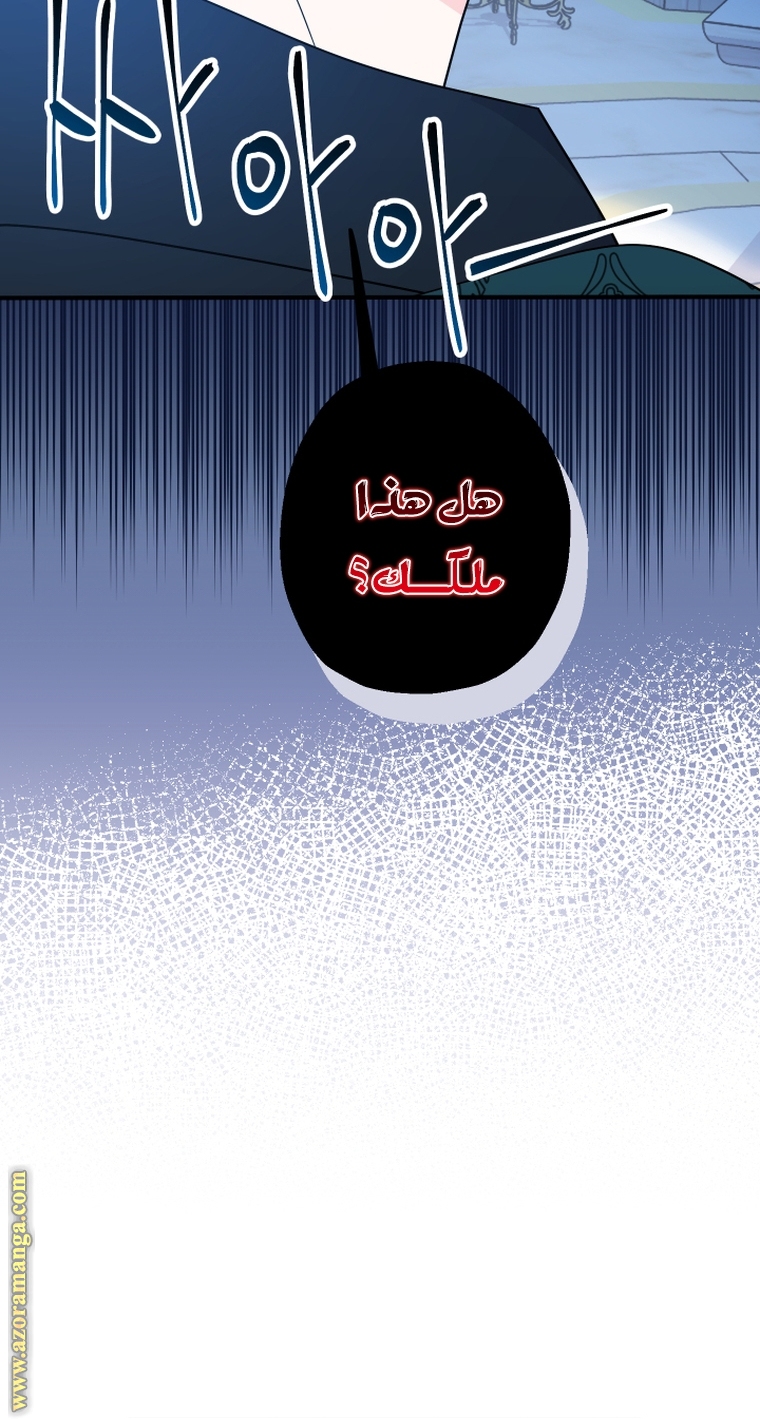 الصفحة 50