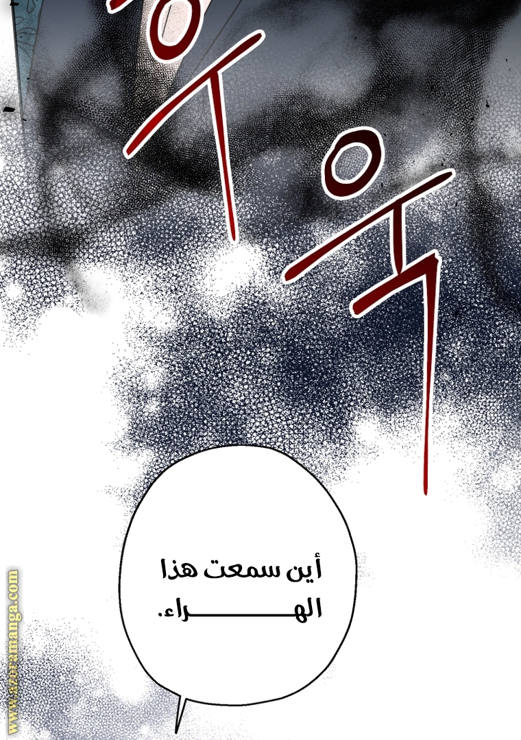 الصفحة 101