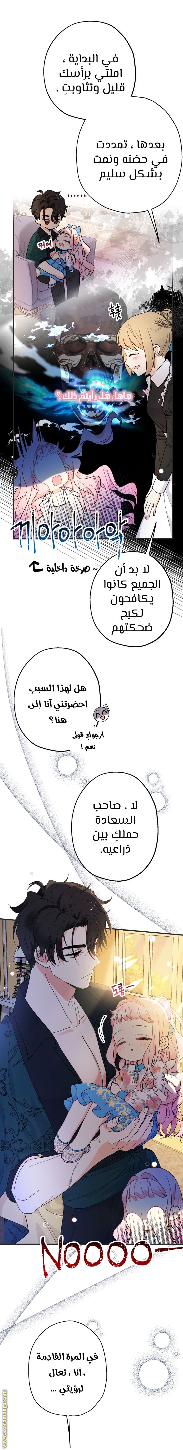الصفحة 24