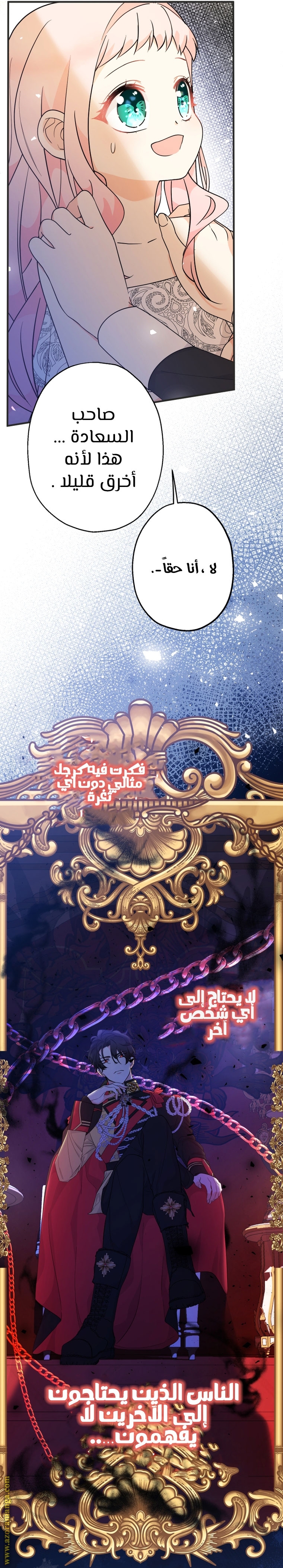 الصفحة 27