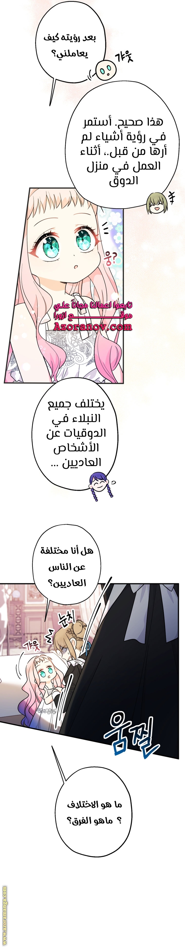 الصفحة 29