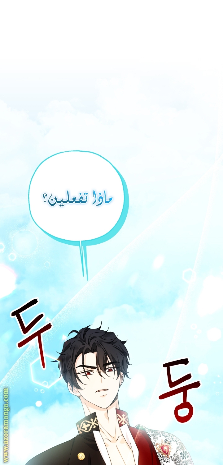 الصفحة 28