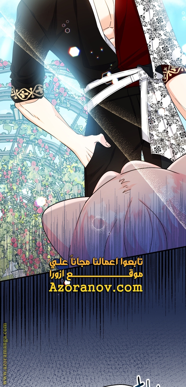 الصفحة 29