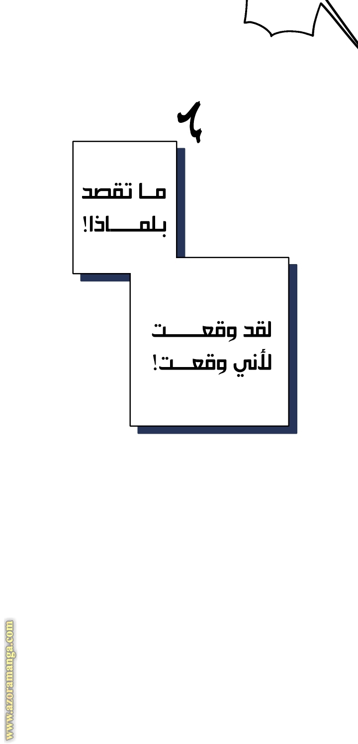 الصفحة 31