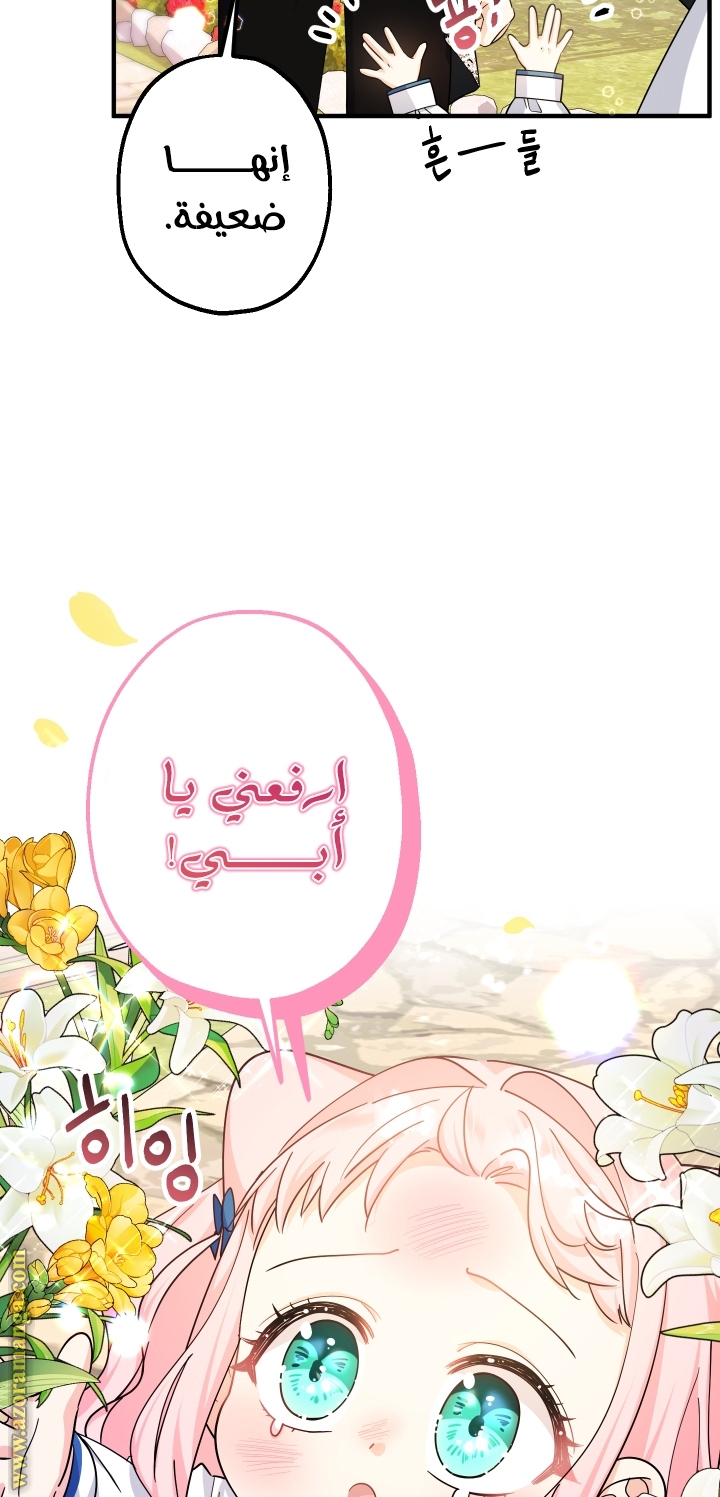 الصفحة 33