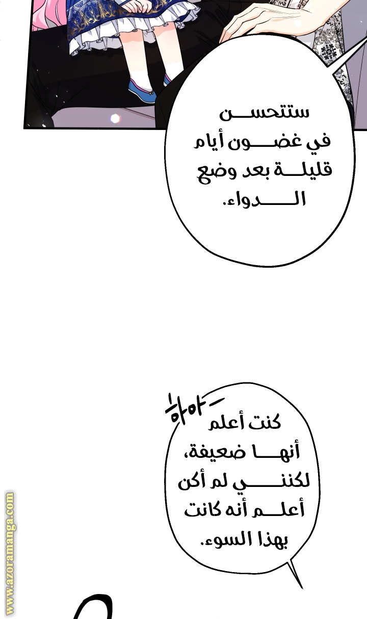 الصفحة 42