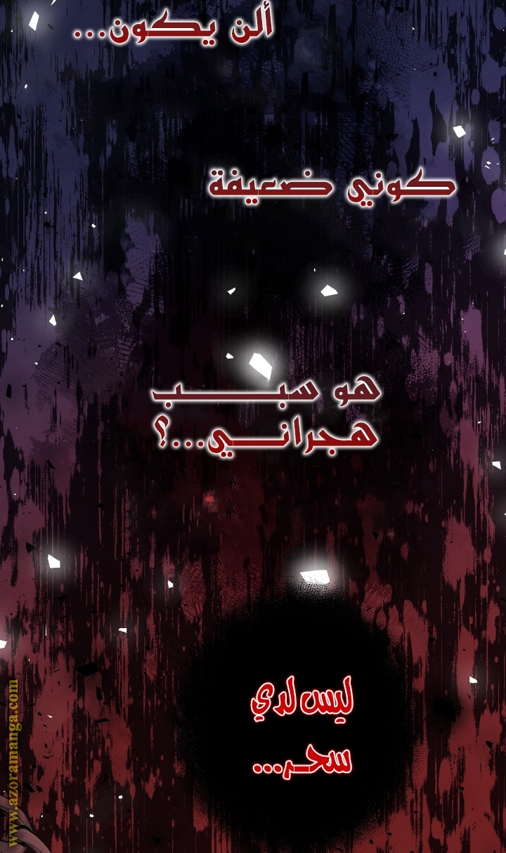 الصفحة 44