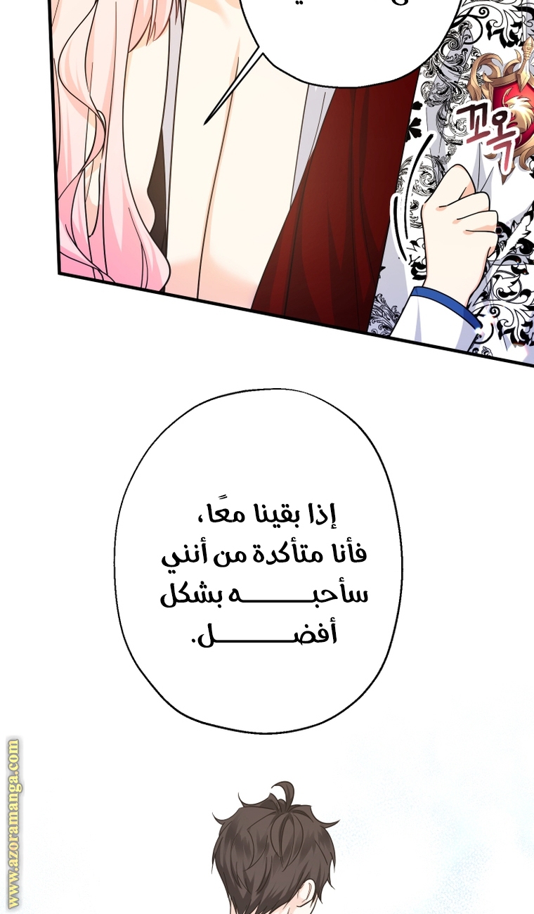 الصفحة 27