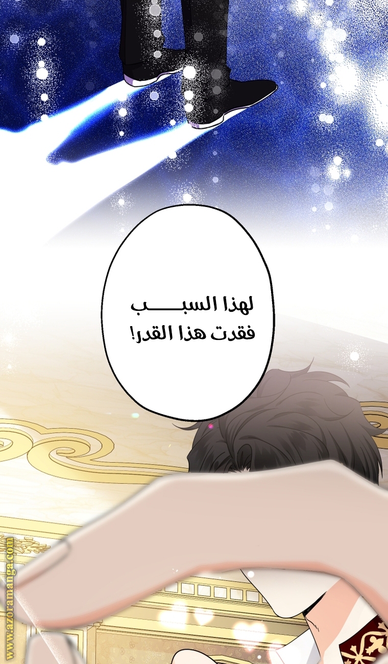 الصفحة 29