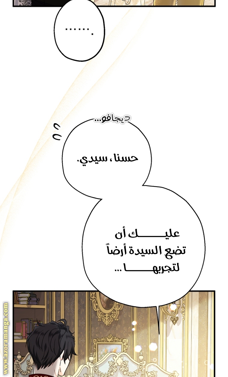 الصفحة 40